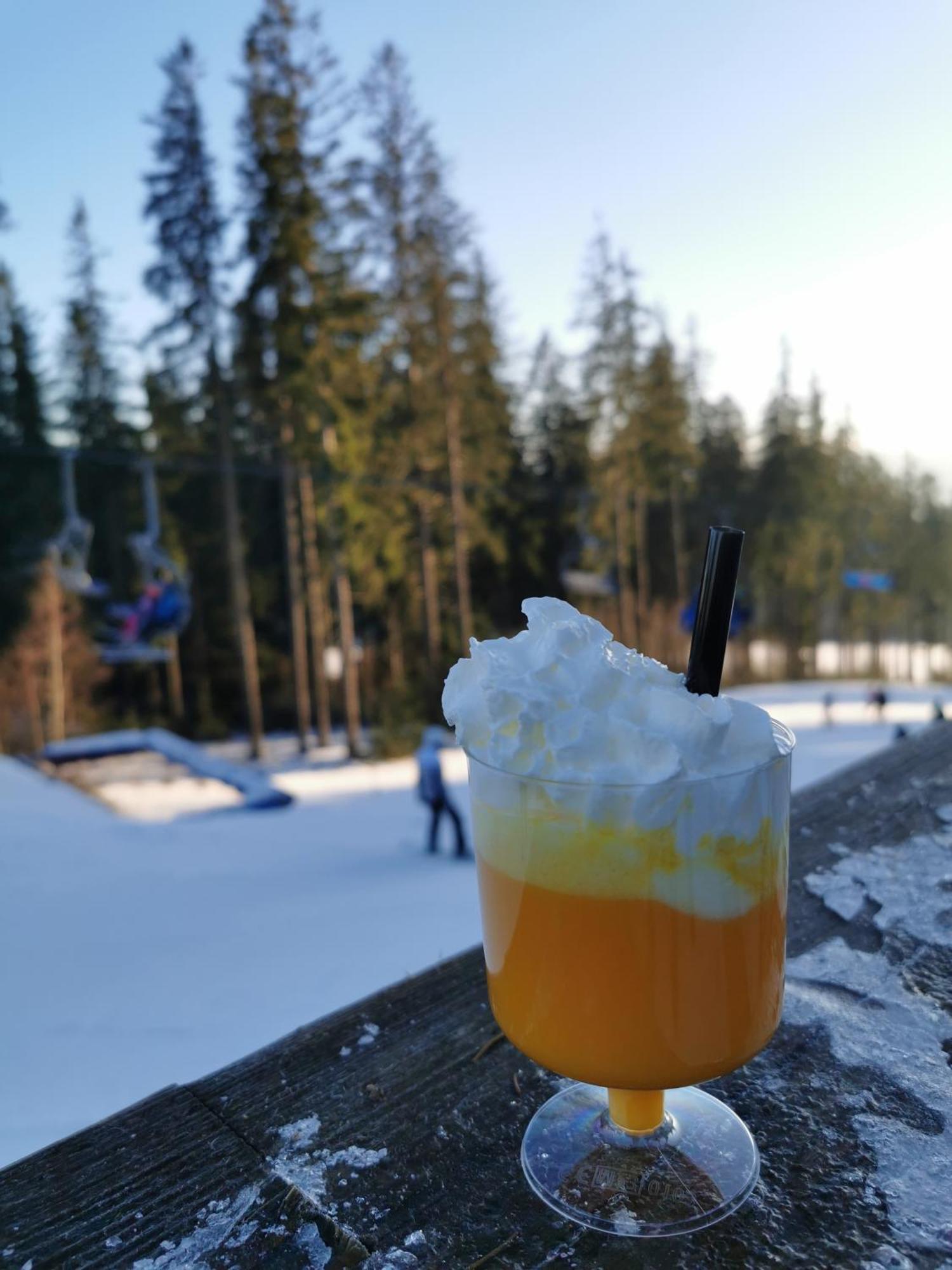 Apartman S Terasou A Vyhledem Na Jezero Lipno Kovářov Exterior foto